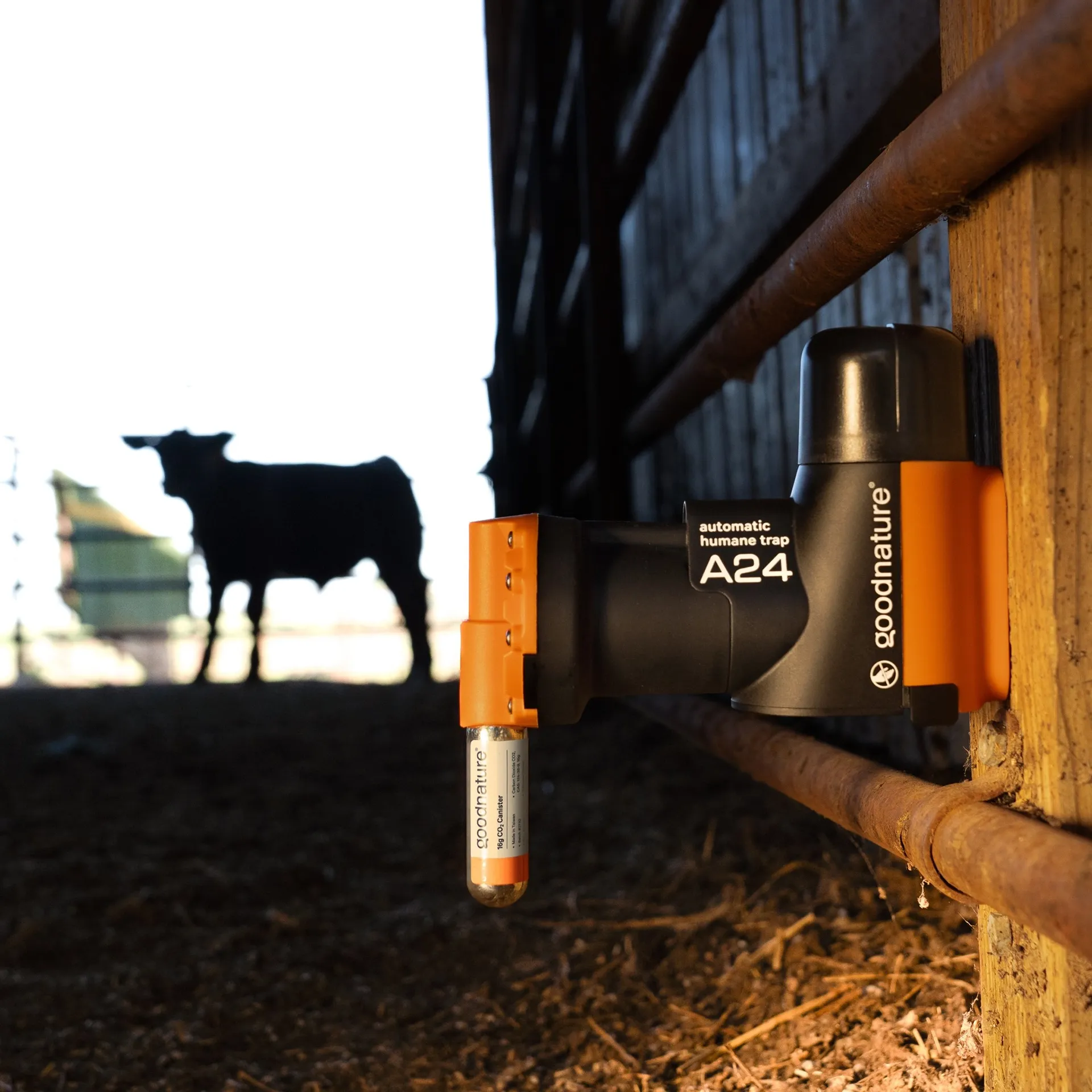 Kit trappola per topi e ratti Goodnature Basic A24