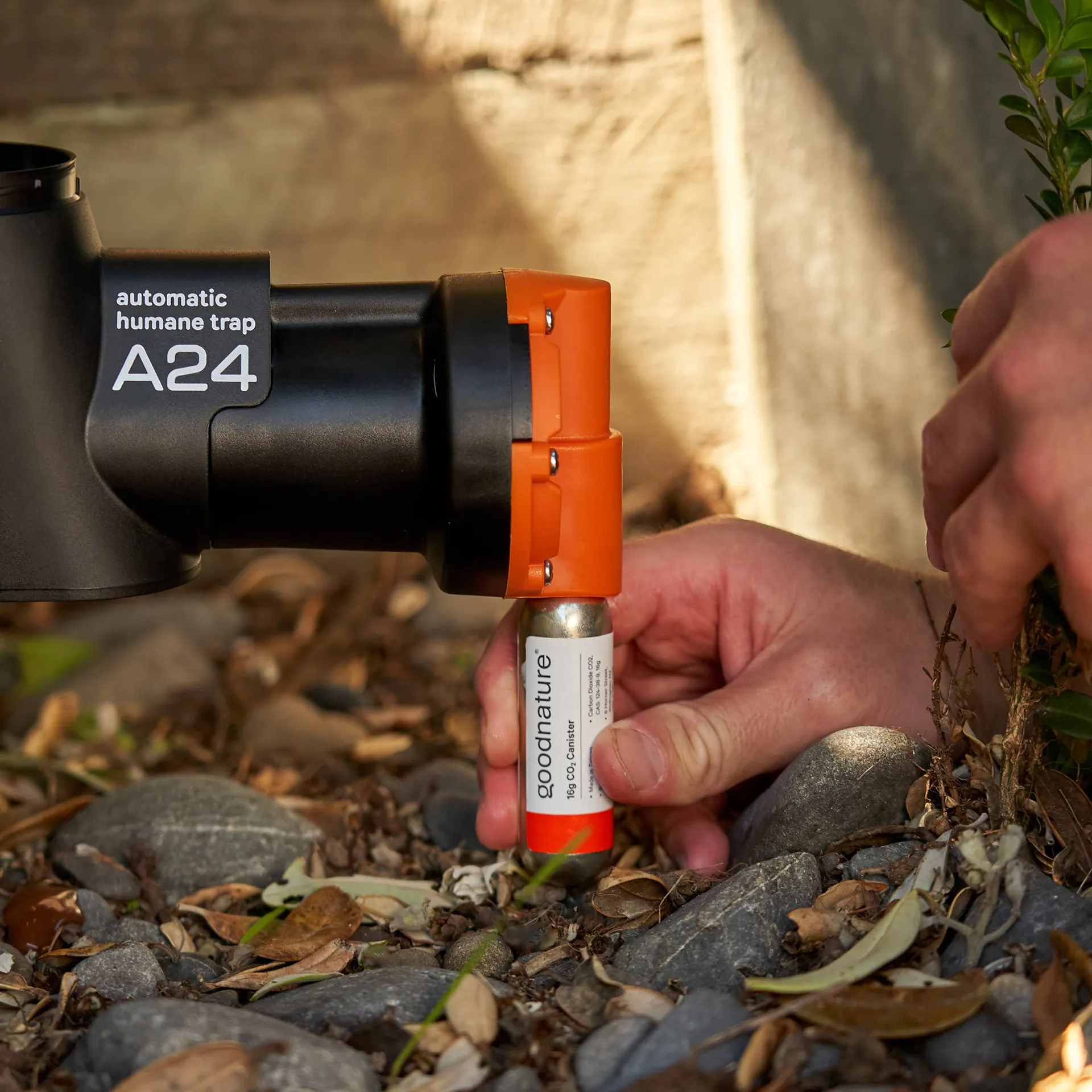 Pacchetto di aggiornamento Goodnature smart cap