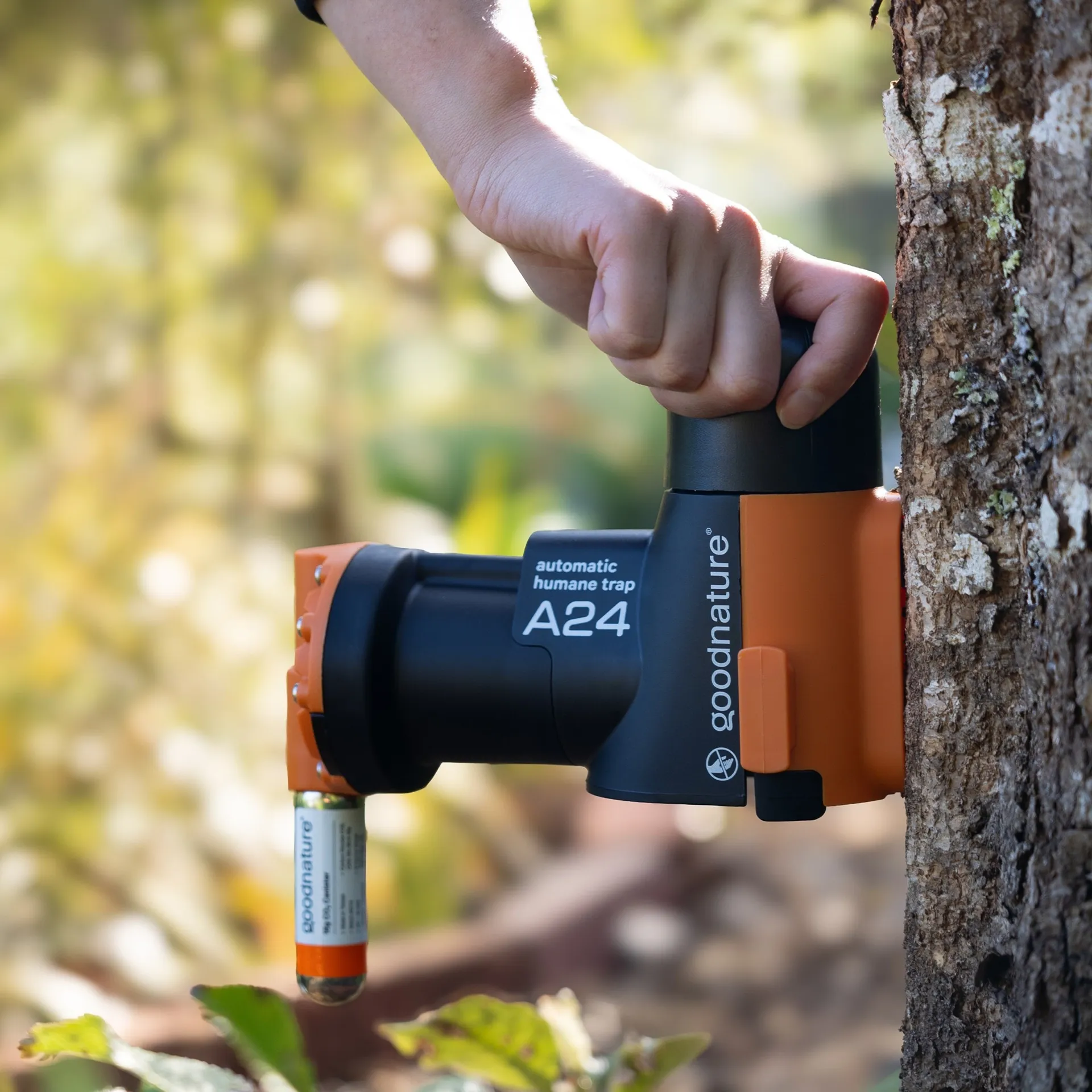 Kit trappola per topi e ratti Goodnature Basic A24