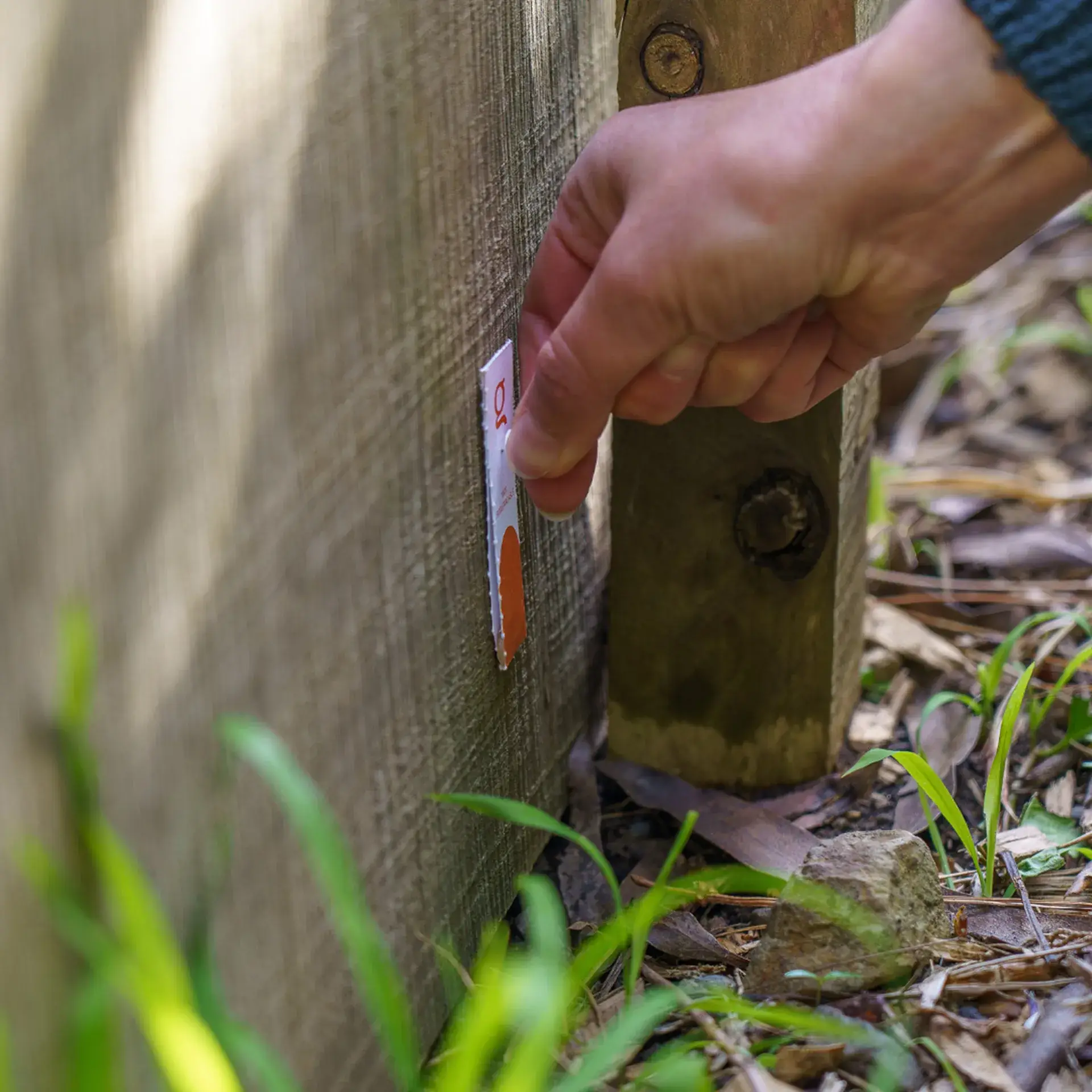 Goodnature A24 Smart Ratten- en muizenvalkit