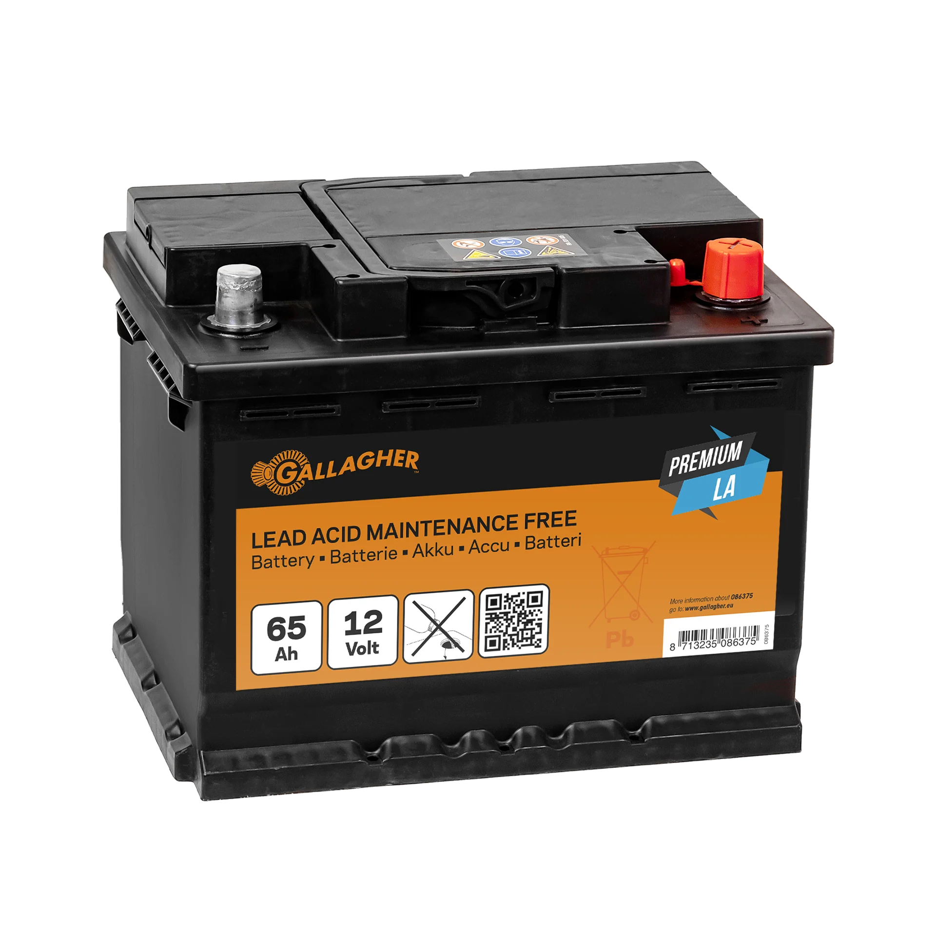 Premium Batterie plomb/acid 12 V/65 Ah - 242 x 175 x 190