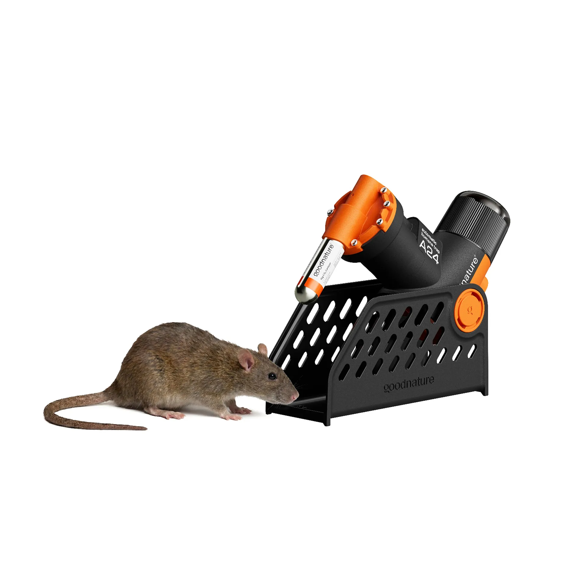 Goodnature A24 Smart Ratten- en muizenvalkit