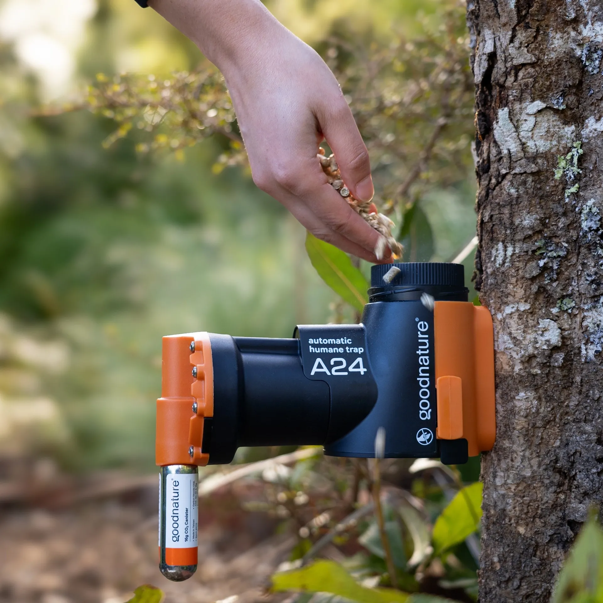 Kit trappola per topi e ratti Goodnature Basic A24