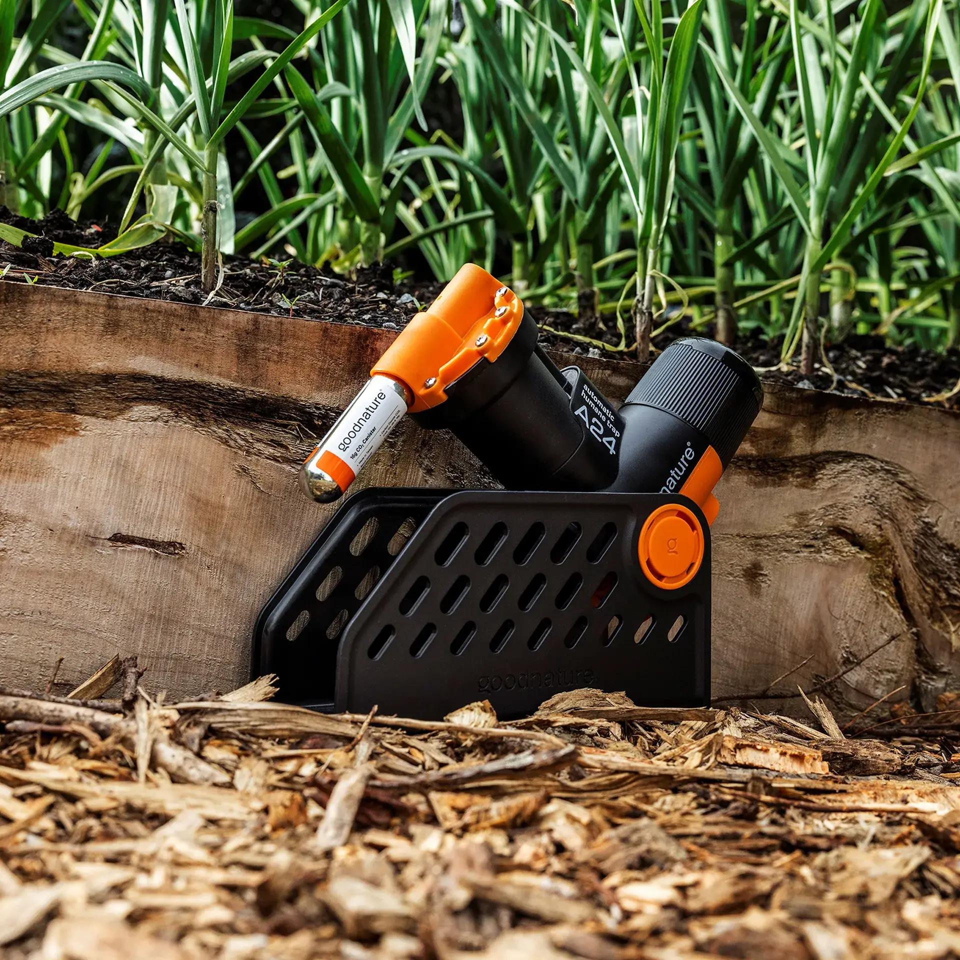 Goodnature A24 Smart Ratten- en muizenvalkit